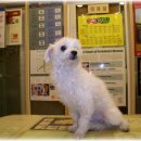 녹번초 후문 이미지