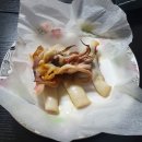 비에이치씨세교