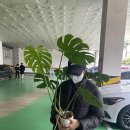 버스정류장 07-038 이미지