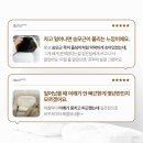 이브자리주 - 세종특별자치시 절재로 154 | 아이유 베개, 진짜 깊은 잠 선물할까? 솔직 후기 대공개!