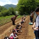 하늘바다어린이집 이미지