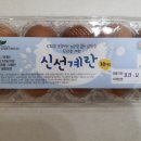 건영정육점 이미지