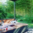 식물원 강아지 이미지