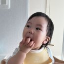 오티농장 이미지