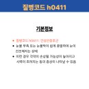 H0411 이미지