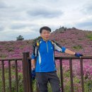 철쭉봉 Daum카페