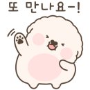 솔담 이미지