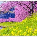 겸손의집 이미지