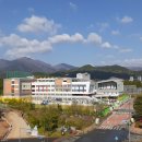 삼남초등학교 이미지