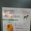 다원 동물병원 이미지