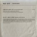 버드나무강릉역 이미지