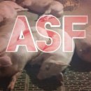 종합동물약품(주) 이미지