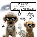 멍스 | 평택 멍스데이 애견카페 후기 강아지 없어서 조용했던 이유