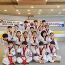 중남키즈태권도장 이미지