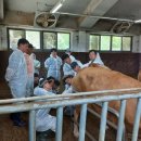 전북특별자치도 축산연구소 이미지