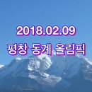 평창 올림픽 홍보에 큰 역할을 한 수호랑과 반다비 이미지