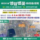 북방체육공원(북방공설운동장) | 2026 벚꽃&amp;봄꽃 마라톤(경주·합천·영암·창원 등) 코스·주차·기념품