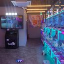 레인보우캐슬 이미지