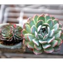 (주)블루빈 이미지