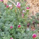 박순자농장 이미지