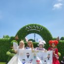 뮤지컬 이상한 나라의 아빠 | 어린이뮤지컬 이상한나라의앨리스 완다랜드 관람하고 왔습니다!