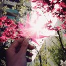 폴레폴레 - 중구 | 폴레폴레
