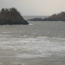 증도 작은도서관 이미지