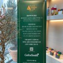 플로체 디자인 랩 이미지