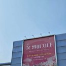 시즌 스테이지Ⅰ 연극 〈꽃, 별이 지나〉 창원 마산 3.15 아트센터 후기 | 김지현 진선규 최미령 이희준...