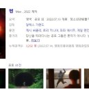 곡성-196 | 220715(D+196) 뒤틀린 집 &amp; 멘(둘 다 쿠키영상 없음/스포많음)