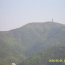 괴정1동-8 이미지