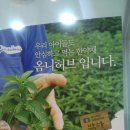 더율 이미지