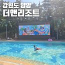 강원도여행 양양 더앤리조트 아이와함께 방문한 후기