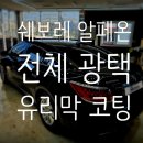 광쓰게러지 이미지