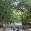 [경남 계곡] 양산 내원사 계곡 2탄🌿내원사 상류스팟 후기