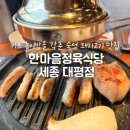 마른5세종대평점 | 세종 대평동 맛집 놀이방식당 한마음정육식당 세종 대평점
