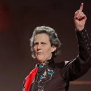 연극 - 템플 Temple 이미지