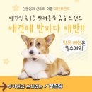 반하다펫