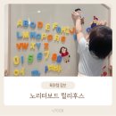 [놀이/활동] 노리터보드 vs 맘스보드 고민 끝! &#39;릴리후스 M사이즈&#39; 직접 써본 후기