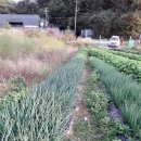 이가네농장 이미지