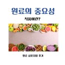 삼오약국 - 동대문구 답십리로 64 | 삼오약국