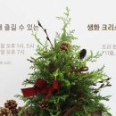 12/11 크리스마스 생화 트리 이미지