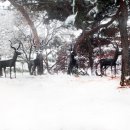 우제류를위하여 이미지