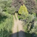 이태리민박 이미지