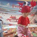 꽃게야놀자