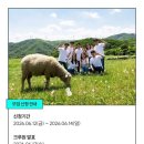 와이웨이