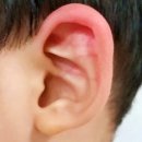 전동한의원 | 전동 코세정기 선택 이유와 사용 방법 및 효과