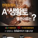 현대플러스(주) 이미지