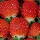 전일수산 네이버블로그