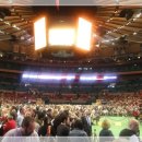 도그뉴스 이미지